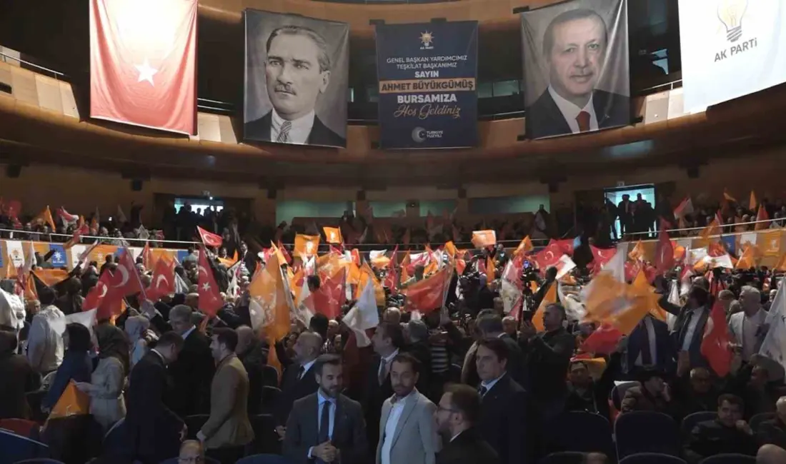 AK Parti Genel Başkan Yardımcısı, Teşkilat Başkanı ve Yalova Milletvekili
