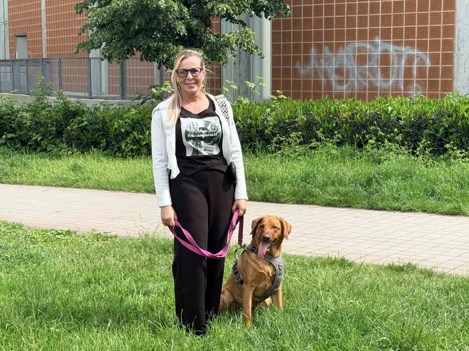Almanya’da köpek sahipleri, hayvanlarının neden olabileceği maddi ve fiziksel zararlara