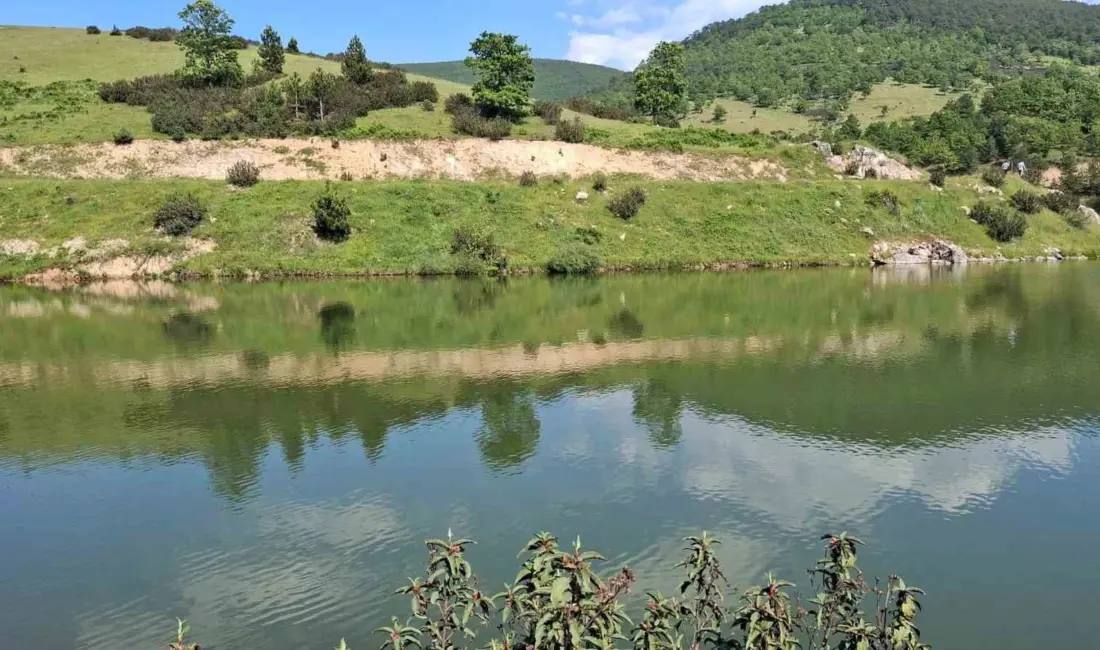 Bursa’da arkadaşlarıyla birlikte sulama göletine giren çocuğun cansız bedenine ulaşıldı.