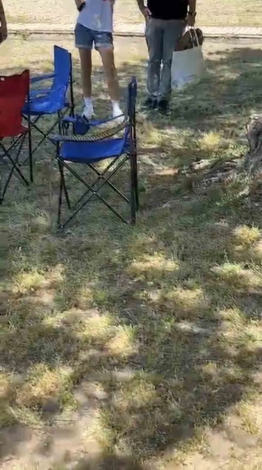 Bursa’nın İznik ilçesinde görülen sarı yılan, vatandaşlar arasında kısa süreli