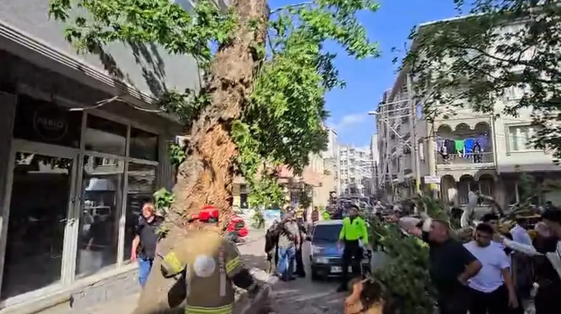 Bursa’nın Karacabey ilçesinde seyir halindeki 2 araç ile bir motosikletin