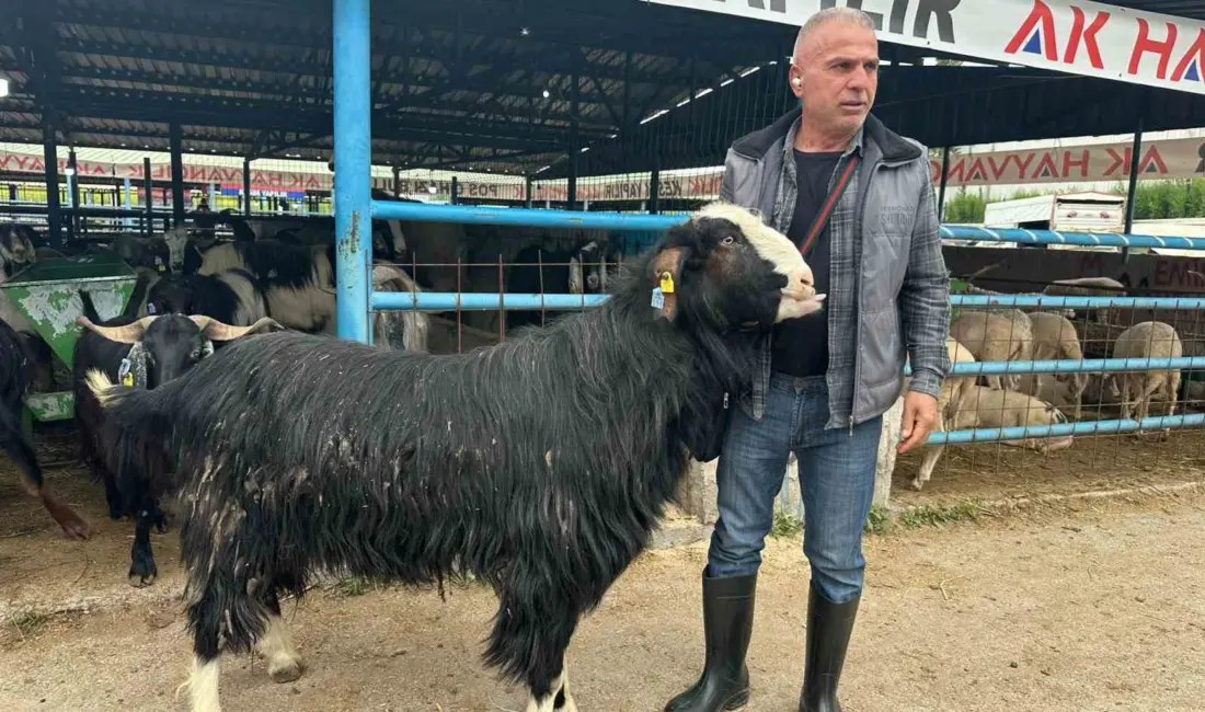 Kurban Bayramı arifesinde hareketliliğin zirve yaptığı Yıldırım ilçesindeki İsabey Kurban