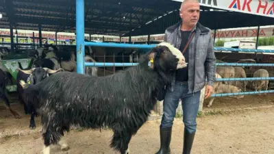 Kurban Bayramı arifesinde hareketliliğin zirve yaptığı Yıldırım ilçesindeki İsabey Kurban