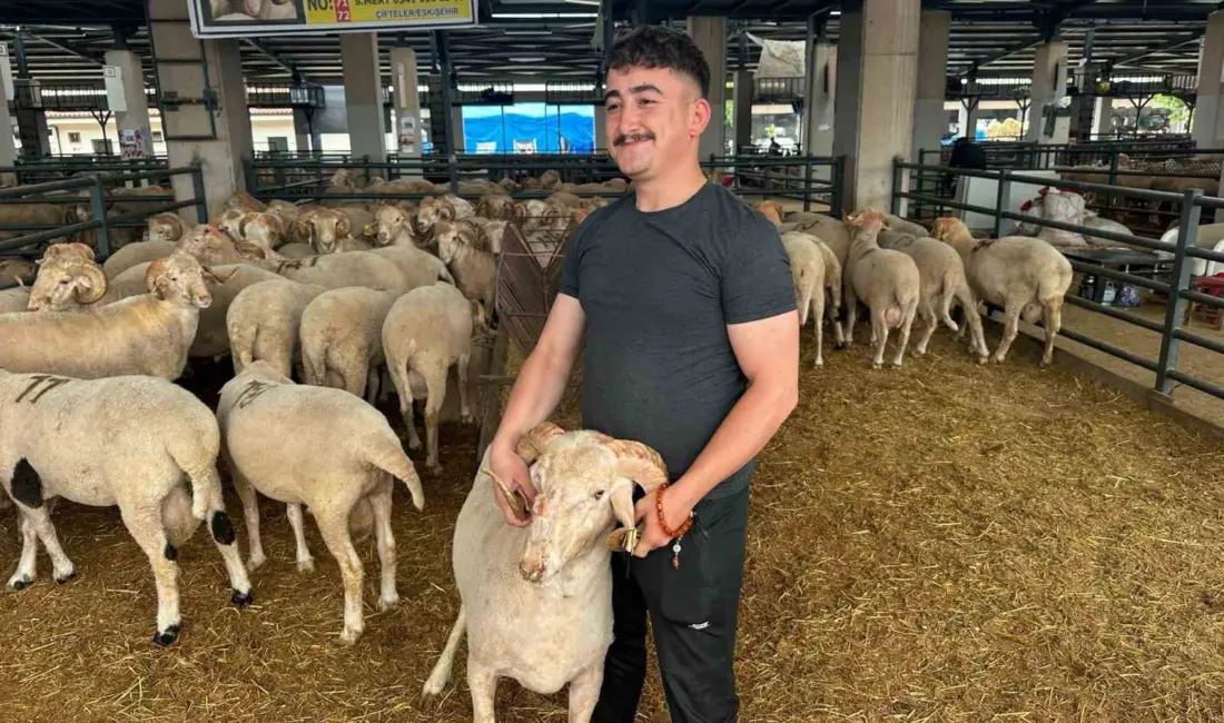 Eskişehir’in Çifteler ilçesinden Bursa’ya getirilen ve burnunun üzerindeki üçüncü boynuzuyla