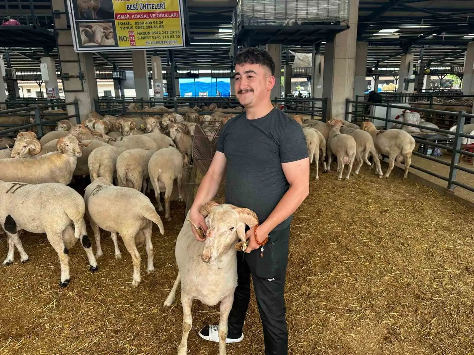 Eskişehir’in Çifteler ilçesinden Bursa’ya getirilen ve burnunun üzerindeki üçüncü boynuzuyla