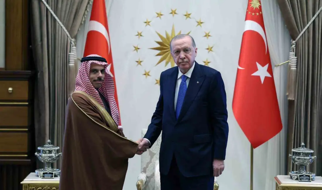Cumhurbaşkanı Recep Tayyip Erdoğan, Suudi Arabistan Dışişleri Bakan Faysal bin