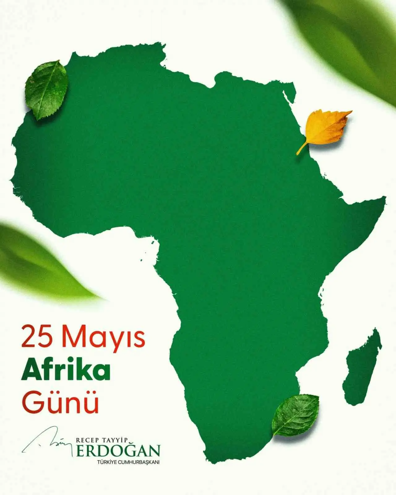 Cumhurbaşkanı Recep Tayyip Erdoğan, 25 Mayıs Afrika Günü ile Afrika
