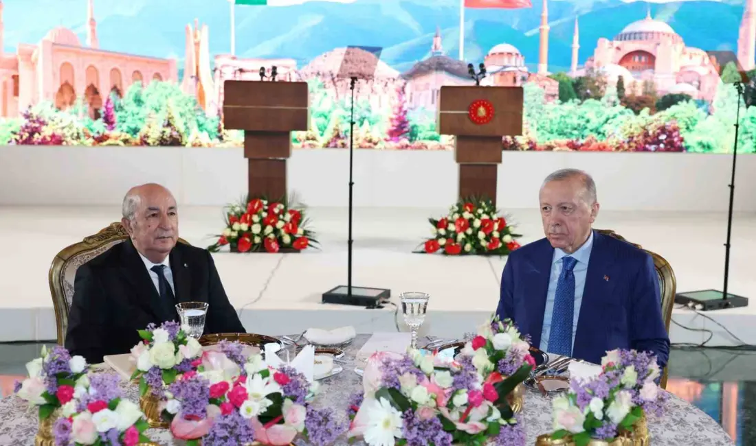 Cumhurbaşkanı Recep Tayyip Erdoğan, Cezayir Cumhurbaşkanı Abdülmecid Tebbun’a Türkiye Cumhuriyeti