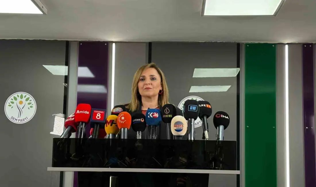 Halkların Eşitlik ve Demokrasi Partisi (DEM Parti) Sözcüsü Ayşegül Doğan,