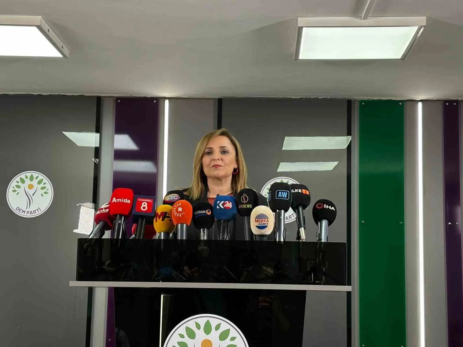 Halkların Eşitlik ve Demokrasi Partisi (DEM Parti) Sözcüsü Ayşegül Doğan,