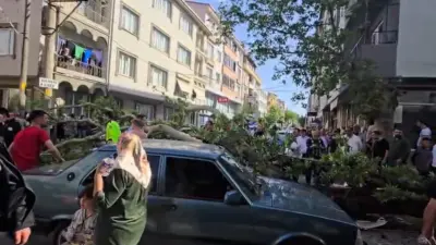 Bursa’nın Karacabey ilçesinde devrilen ağacın altında kalan motosiklet sürücüsünün durumunun