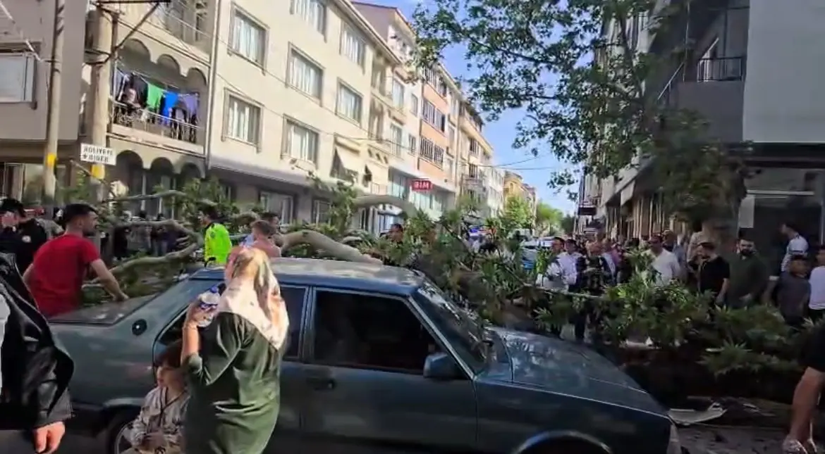 Bursa’nın Karacabey ilçesinde devrilen ağacın altında kalan motosiklet sürücüsünün durumunun