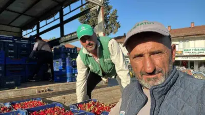 Bursa’nın İznik ilçesine bağlı Orhaniye Mahallesi’nde mevsimin ilk karabodur kirazı
