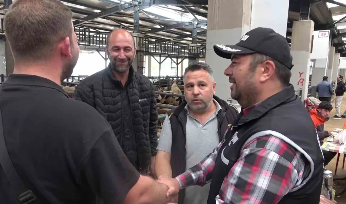 Bursa’da Kurban Bayramı öncesi hareketliliğin arttığı hayvan pazarlarında, Kaçakçılık ve