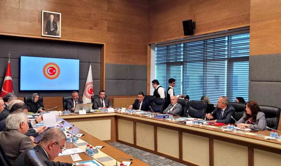 TBMM Şanlıurfa ile Kahramanmaraş Okul Olaylarını ve Dijital Riskleri Araştırma