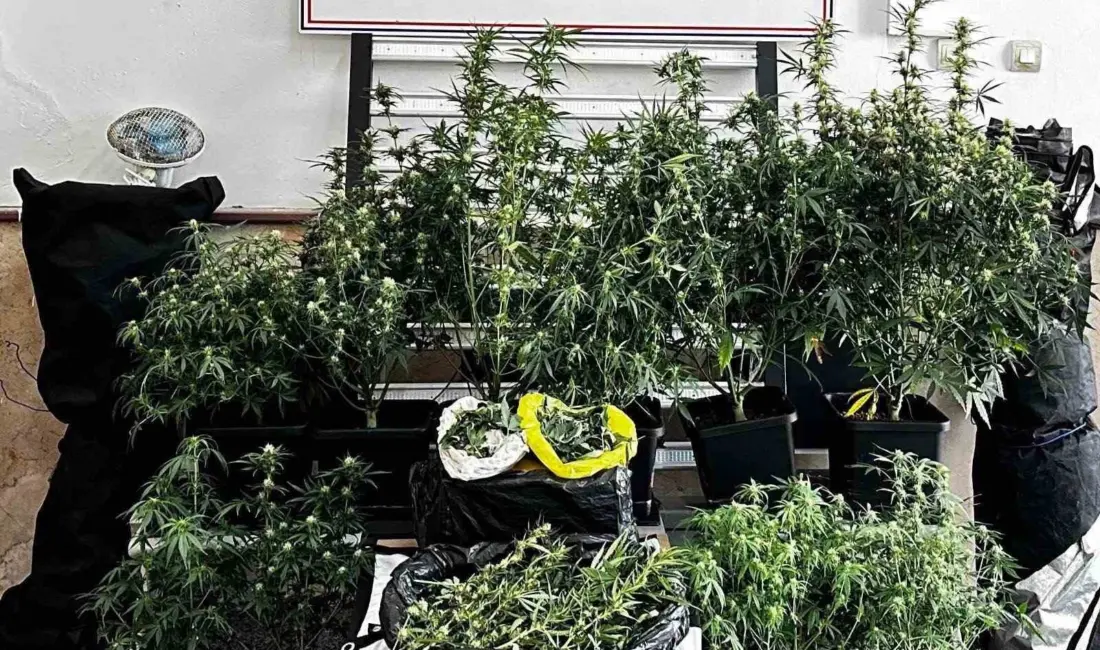Bursa’da jandarma ekiplerince şüphelinin evinde gerçekleştirlen uyuşturucu operasyonunda çok sayıda