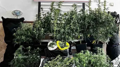 Bursa’da jandarma ekiplerince şüphelinin evinde gerçekleştirlen uyuşturucu operasyonunda çok sayıda