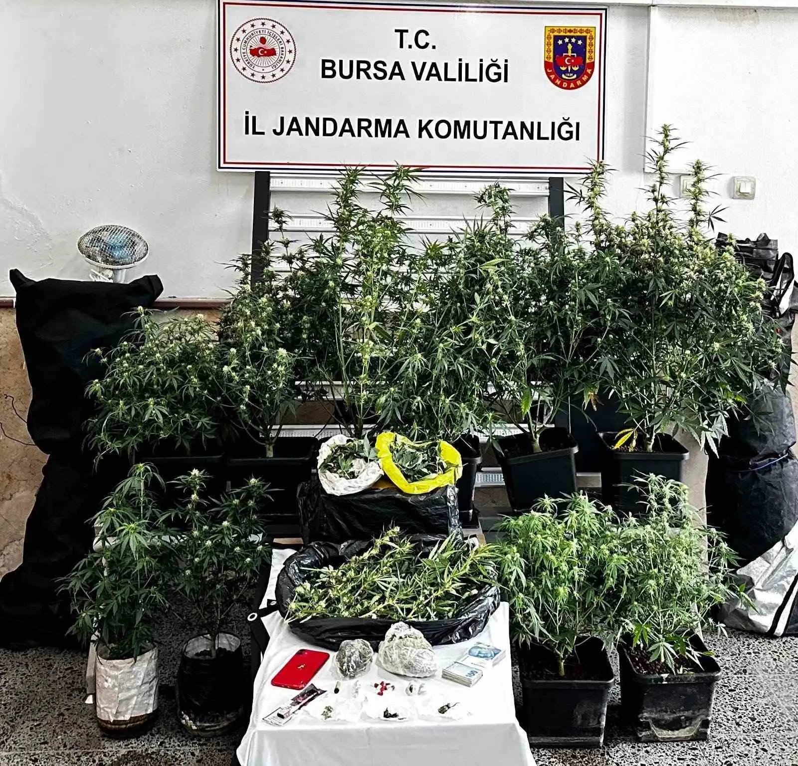 Bursa’da jandarma ekiplerince şüphelinin evinde gerçekleştirlen uyuşturucu operasyonunda çok sayıda
