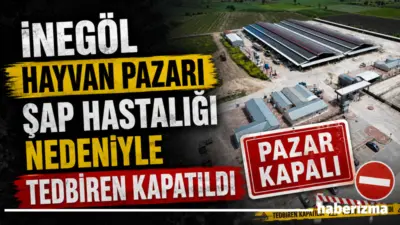 İnegöl’de bir mahallede görülen şap hastalığı vakası üzerine İlçe Tarım