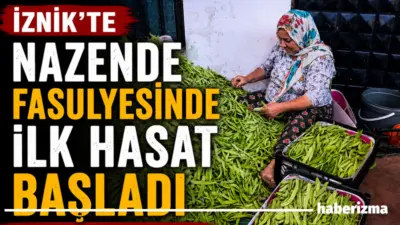 Bursa’nın İznik ilçesine bağlı Boyalıca Mahallesi’nde yörenin önemli tarım ürünlerinden