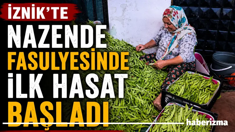 Bursa’nın İznik ilçesine bağlı Boyalıca Mahallesi’nde yörenin önemli tarım ürünlerinden