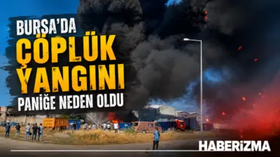 Bursa’nın Osmangazi ilçesinde çöplük alanda çıkan yangın paniğe neden oldu.