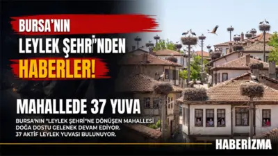 Bursa’nın Mustafakemalpaşa ilçesine bağlı Karaoğlan Mahallesi, bu yıl 37’ye ulaşan