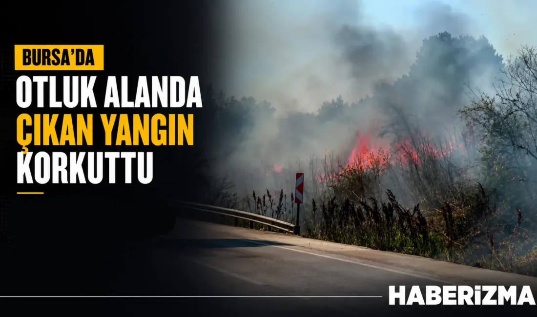 Bursa Karacabey yolu Başköy istikametinde otluk alanda çıkan yangın, rüzgarın