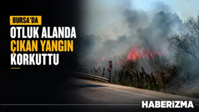 Bursa Karacabey yolu Başköy istikametinde otluk alanda çıkan yangın, rüzgarın