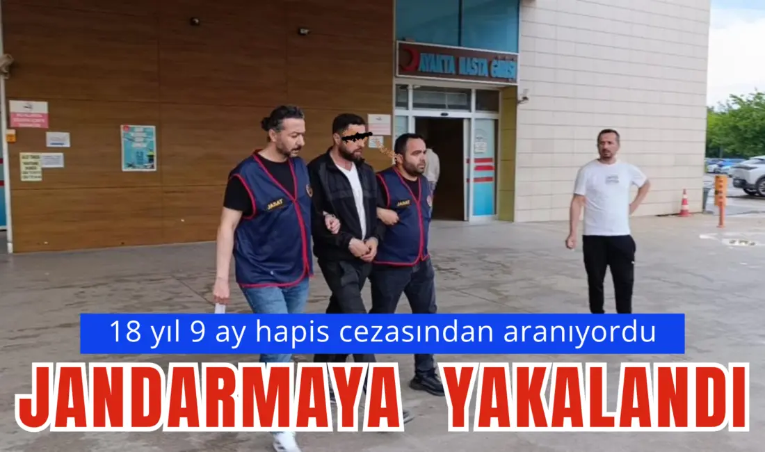Bursa’nın İnegöl ilçesinde hakkında kesinleşmiş hapis cezası bulunan şahıs, jandarma