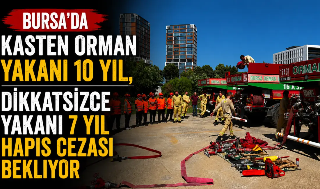 Bursa Orman Bölge Müdürlüğü, orman yangınlarına karşı sivil toplum kuruluşları
