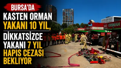 Bursa Orman Bölge Müdürlüğü, orman yangınlarına karşı sivil toplum kuruluşları