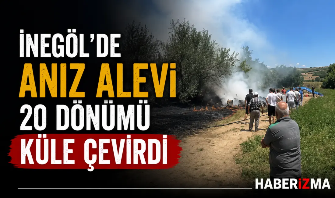 Bursa’nın İnegöl ilçesinde çıkan anız yangını, kısa sürede yayılarak yaklaşık
