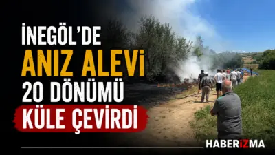Bursa’nın İnegöl ilçesinde çıkan anız yangını, kısa sürede yayılarak yaklaşık