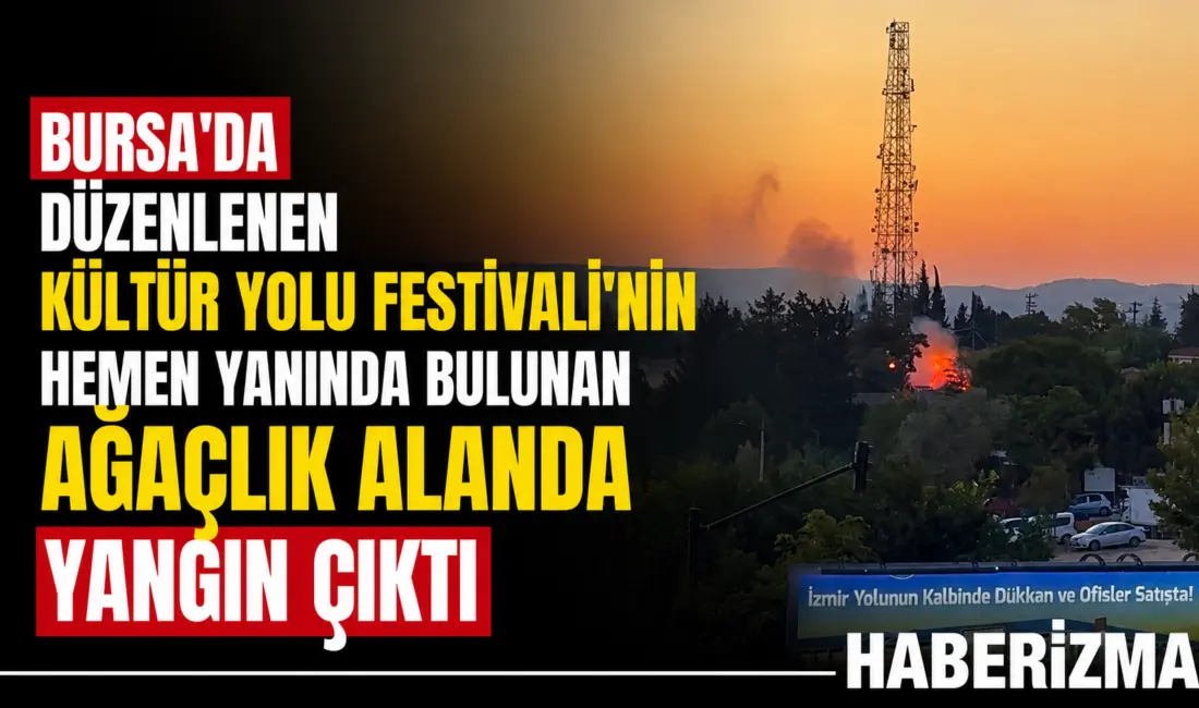 Bursa’da düzenlenen Kültür Yolu Festivali’nin hemen yanında bulunan ağaçlık alanda