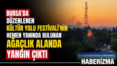 Bursa’da düzenlenen Kültür Yolu Festivali’nin hemen yanında bulunan ağaçlık alanda