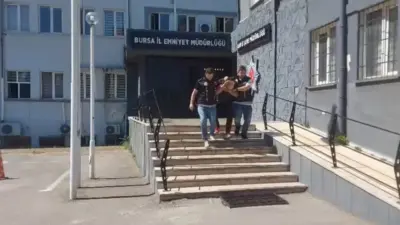 Bursa’da 29 suç kaydı bulunan firari, polisleri görünce kayısı ağacının