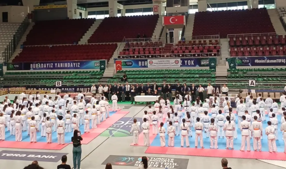 Türkiye Karate Federasyonu bünyesinde faaliyet gösteren Kyokushin branşının uluslararası alandaki