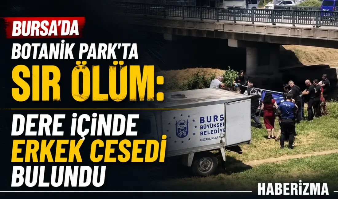 Bursa’nın Osmangazi ilçesindeki Botanik Park’ta dere içerisinde bulunan erkek cesedi