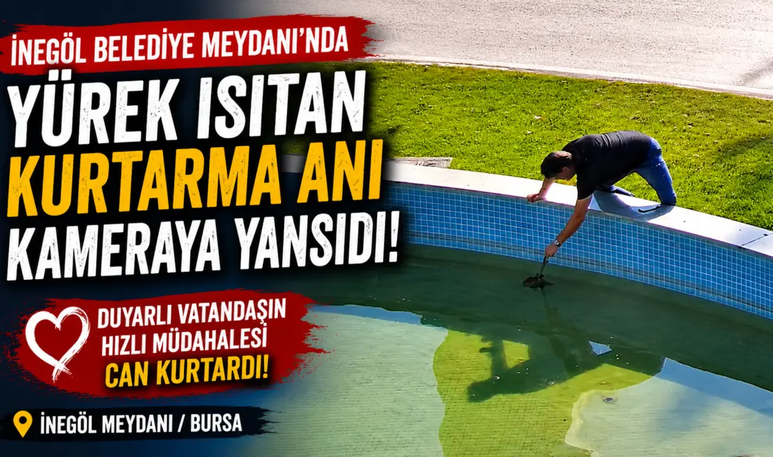İnegöl Belediye Meydanı’nda bulunan süs havuzunda yürekleri ısıtan bir kurtarma
