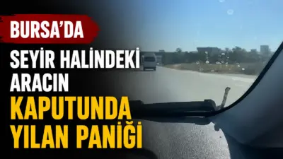 Bursa-Yenişehir yolunda seyir halinde olan bir aracın kaputunda görülen yılan,