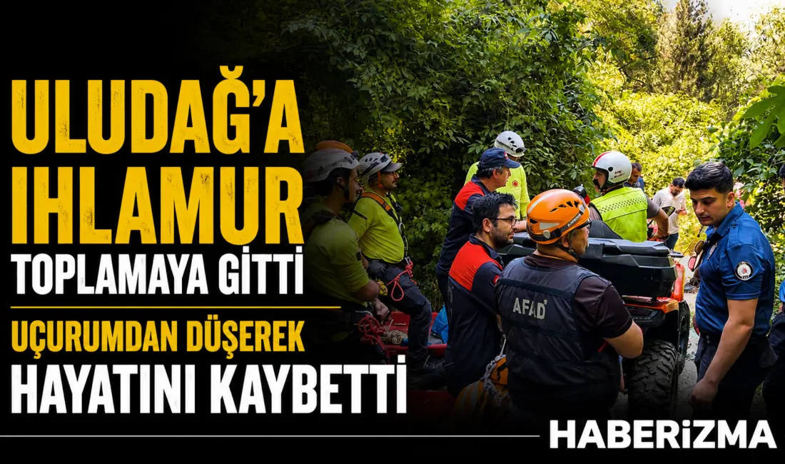 Bursa’dan Uludağ’a ıhlamur toplamaya giden bir kişi uçurumdan düşerek hayatını