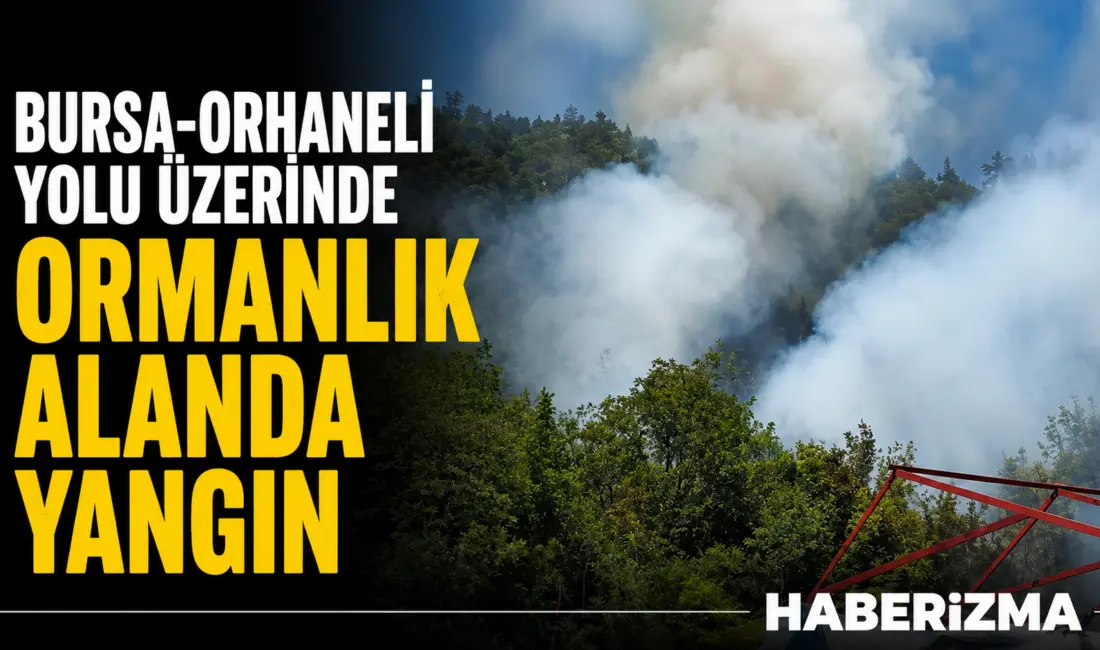 Bursa’da ağaçlık alanda çıkan yangın paniğe neden oldu. İhbar üzerine
