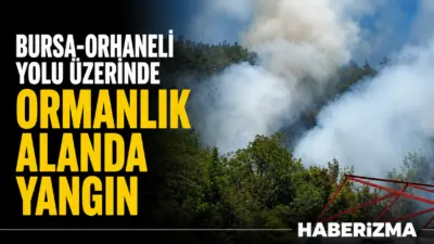 Bursa’da ağaçlık alanda çıkan yangın paniğe neden oldu. İhbar üzerine