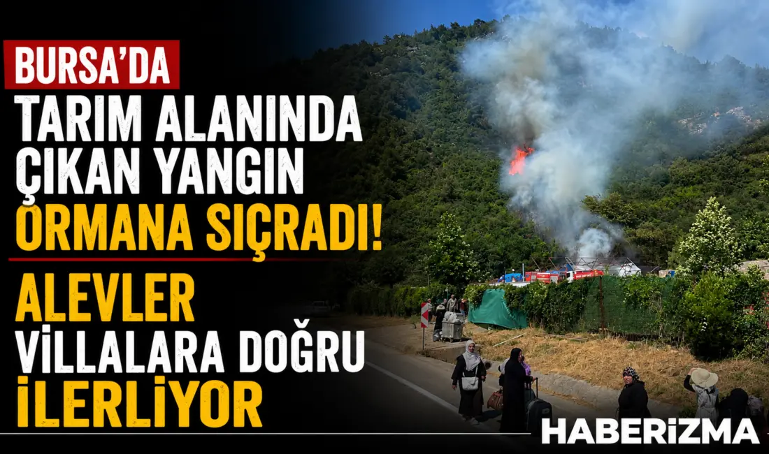 Bursa’nın Orhaneli yolu Gökçeören mevkisinde tarım alanında çıkan yangın, ormanlık
