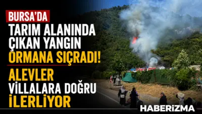 Bursa’nın Orhaneli yolu Gökçeören mevkisinde tarım alanında çıkan yangın, ormanlık