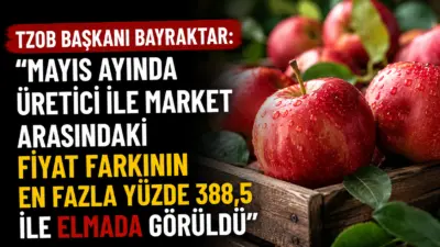 Türkiye Ziraat Odaları Birliği Genel Başkanı Şemsi Bayraktar, mayıs ayında