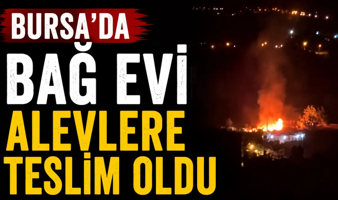 Bursa’da bir bağ evinde çıkan yangın korku dolu anlara neden