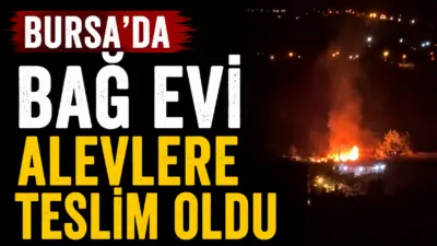 Bursa’da bir bağ evinde çıkan yangın korku dolu anlara neden