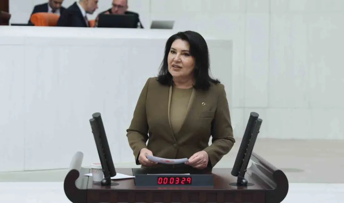 TBMM Dilekçe Komisyonu Başkanı ve AK Parti Adana Milletvekili Sunay